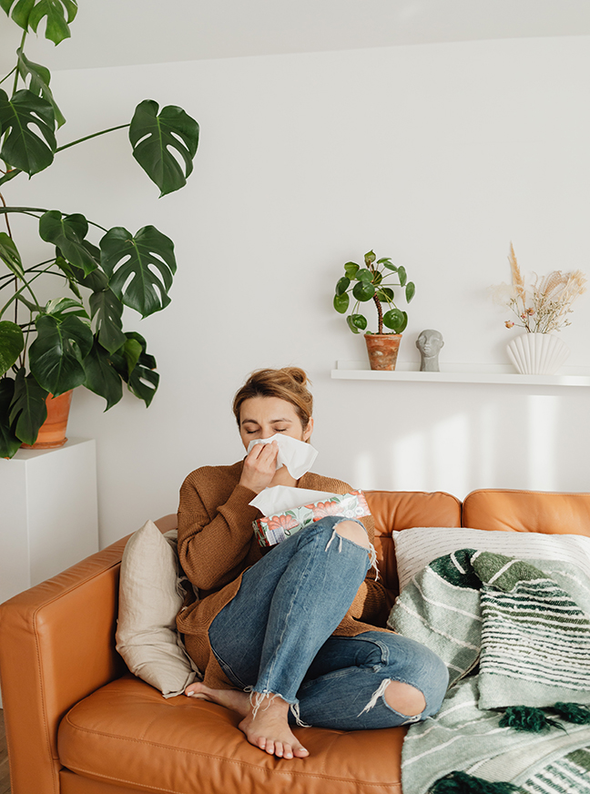 Humidifier Air Purifier Combo