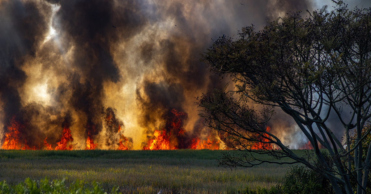 Air Purifier For Wildfire Smoke