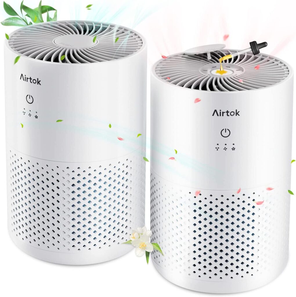 Best Air Purifier For Cigar Smoke